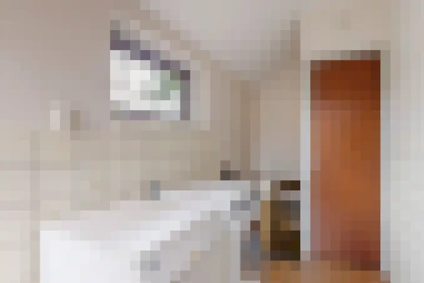 Van Diepenheim Scheltuslaan 5 Leusden thumbnail 19