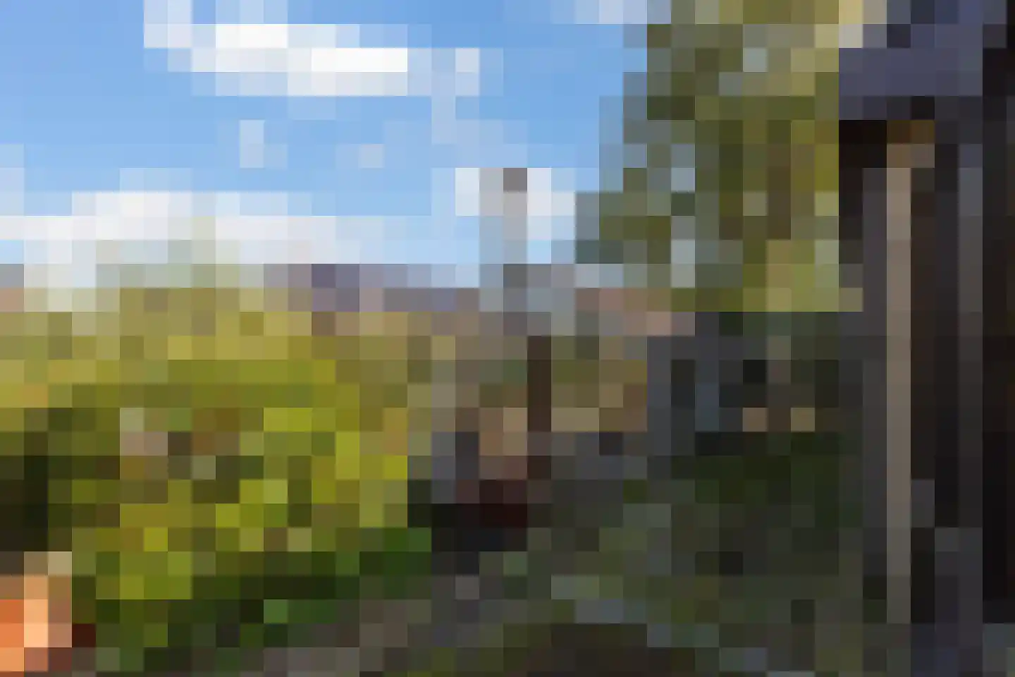Van Diepenheim Scheltuslaan 5 Leusden thumbnail 22