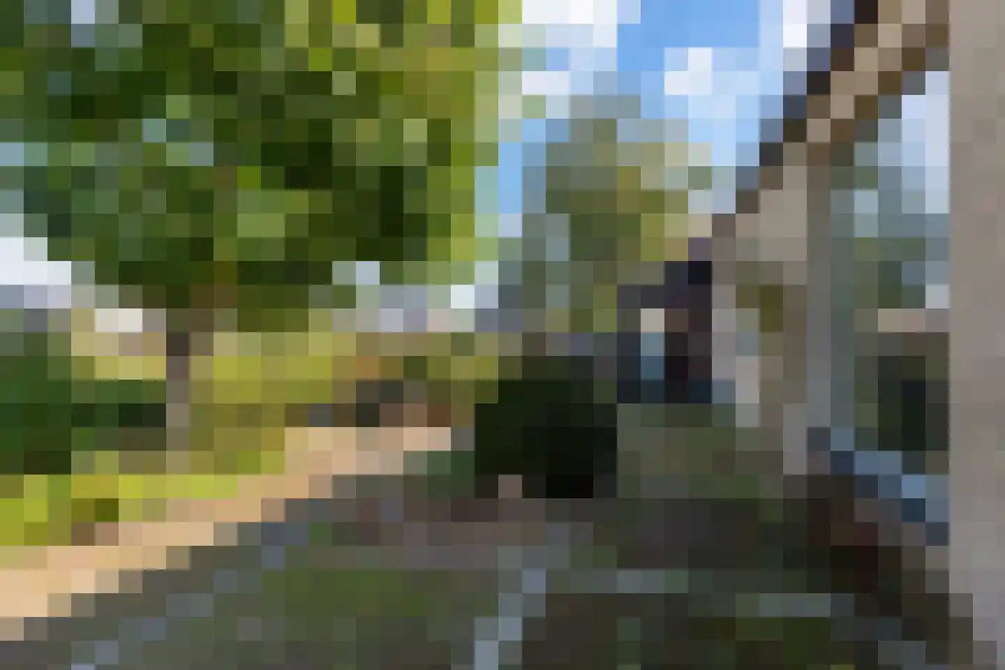 Van Diepenheim Scheltuslaan 5 Leusden thumbnail 23