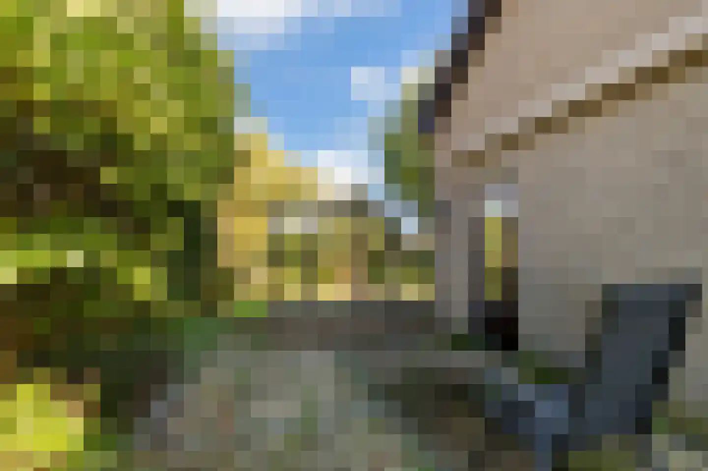 Van Diepenheim Scheltuslaan 5 Leusden thumbnail 24