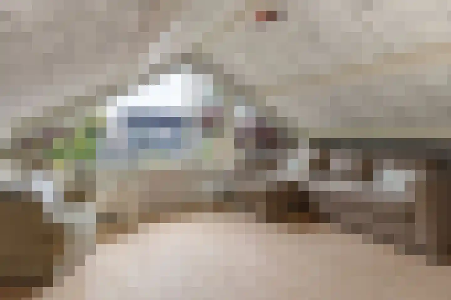 Van Diepenheim Scheltuslaan 5 Leusden thumbnail 32