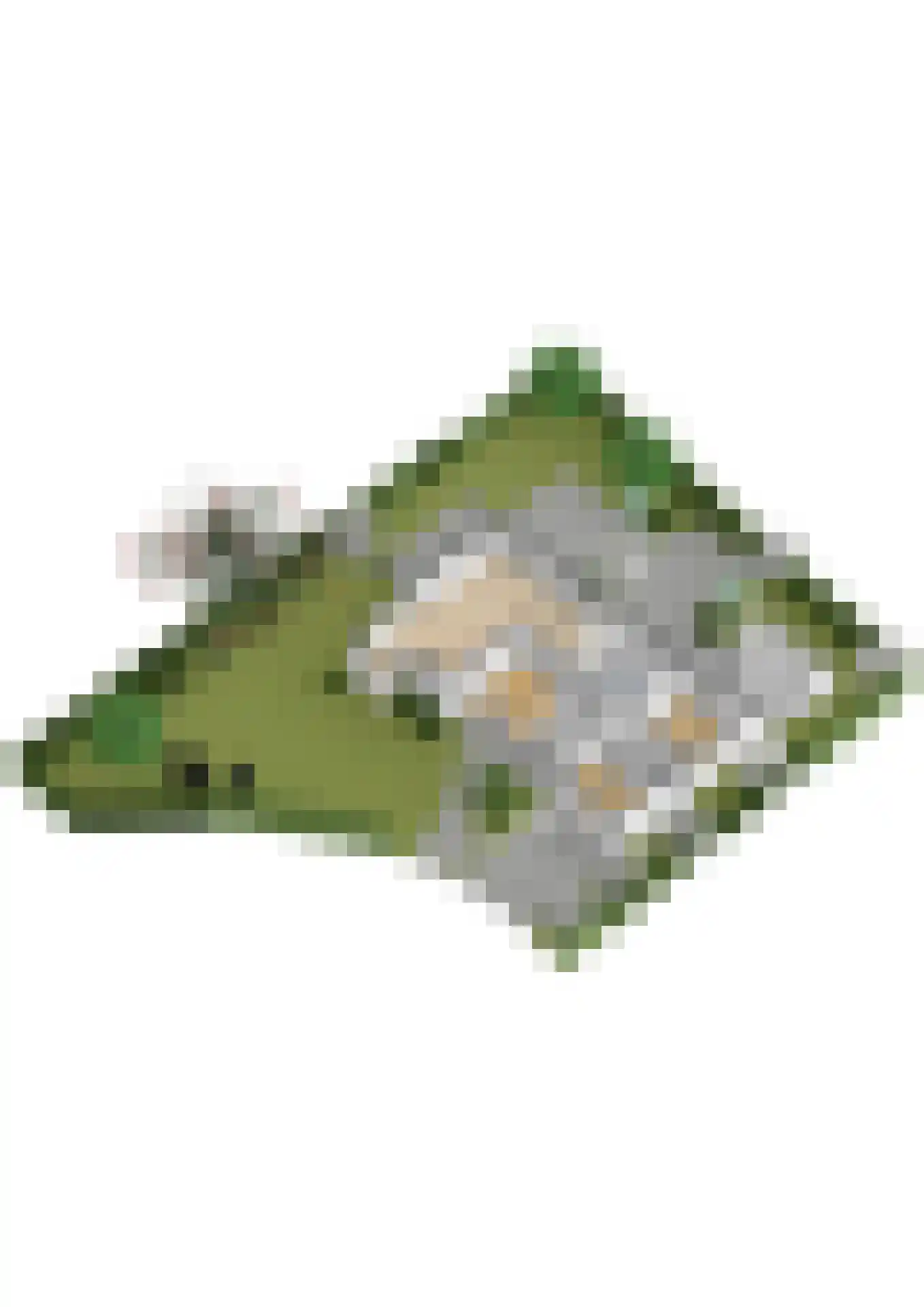Van Diepenheim Scheltuslaan 5 Leusden thumbnail 39
