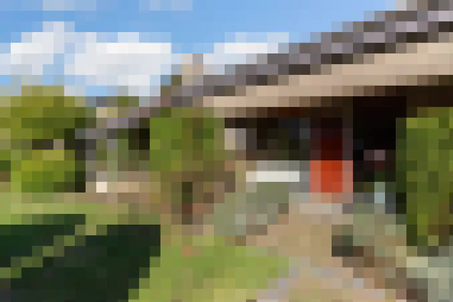 Van Diepenheim Scheltuslaan 5 Leusden thumbnail 4