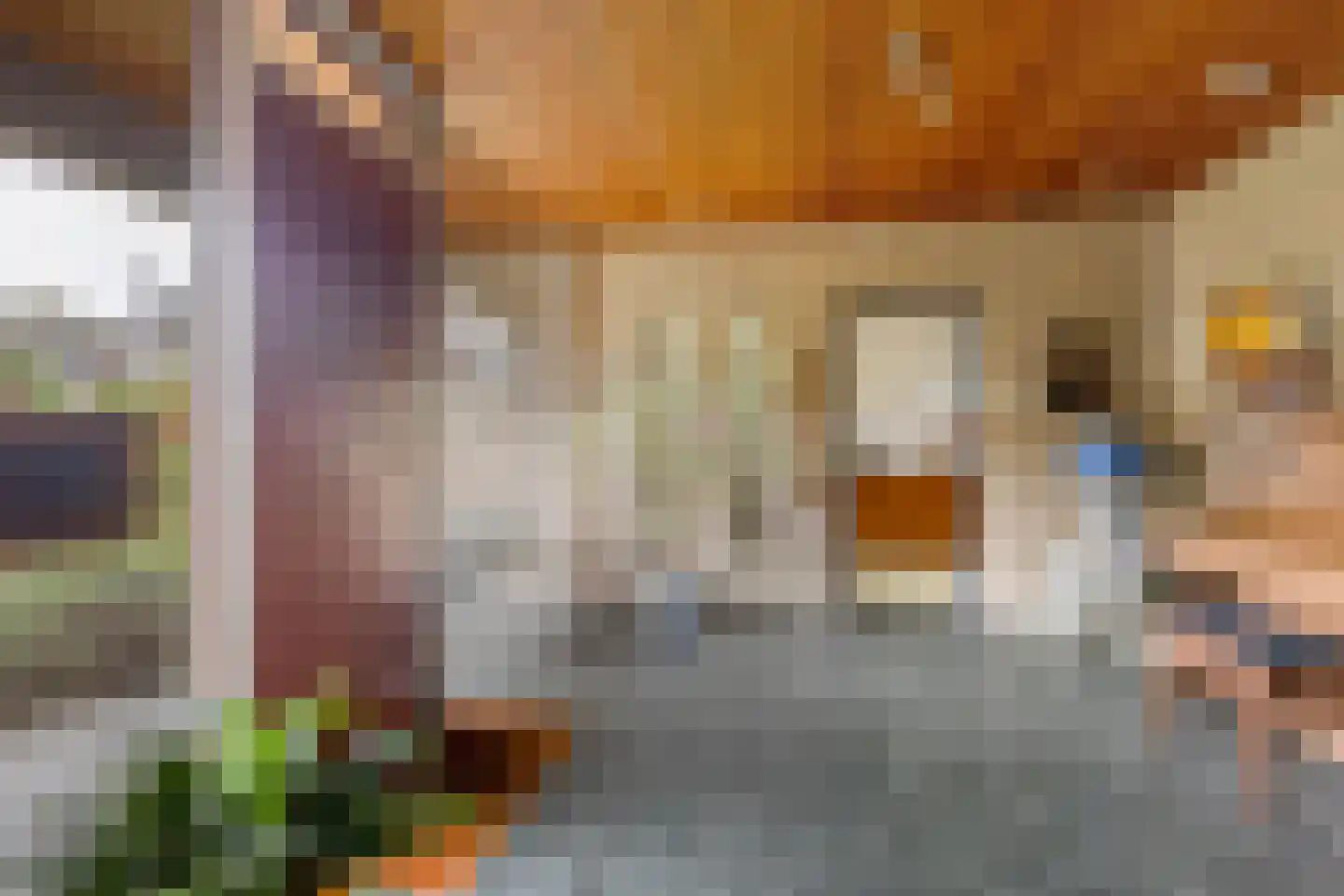 Van Diepenheim Scheltuslaan 5 Leusden thumbnail 6