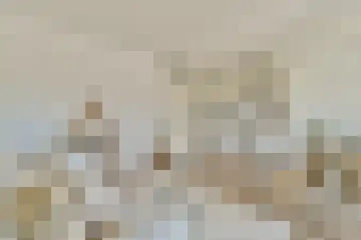Van Diepeningenlaan 38 Leiderdorp thumbnail 10
