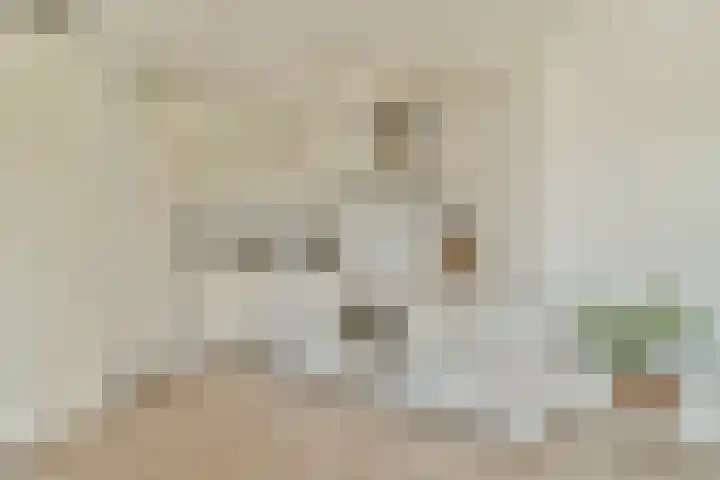 Van Diepeningenlaan 38 Leiderdorp thumbnail 12