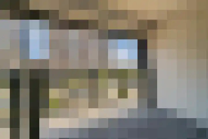 Van Diepeningenlaan 38 Leiderdorp thumbnail 14