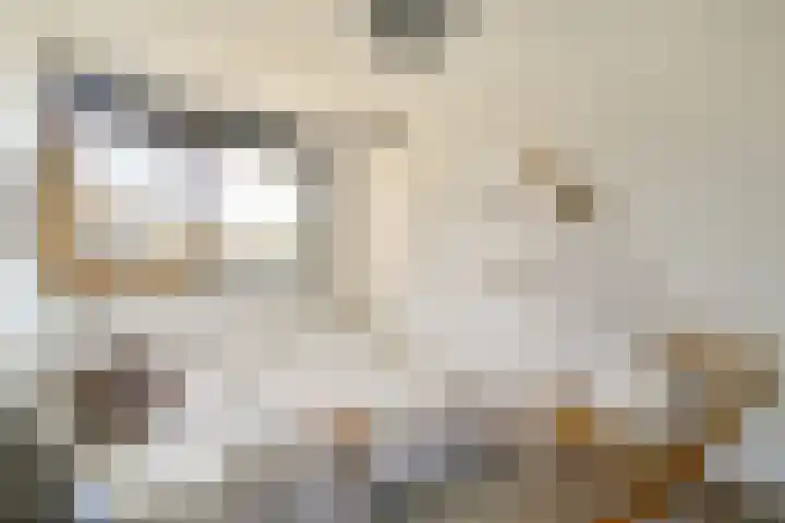 Van Diepeningenlaan 38 Leiderdorp thumbnail 17