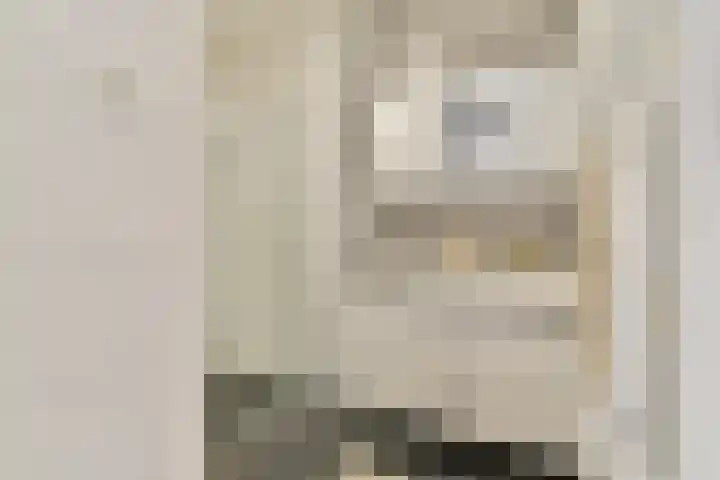 Van Diepeningenlaan 38 Leiderdorp thumbnail 18