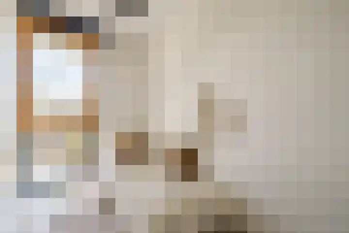 Van Diepeningenlaan 38 Leiderdorp thumbnail 20