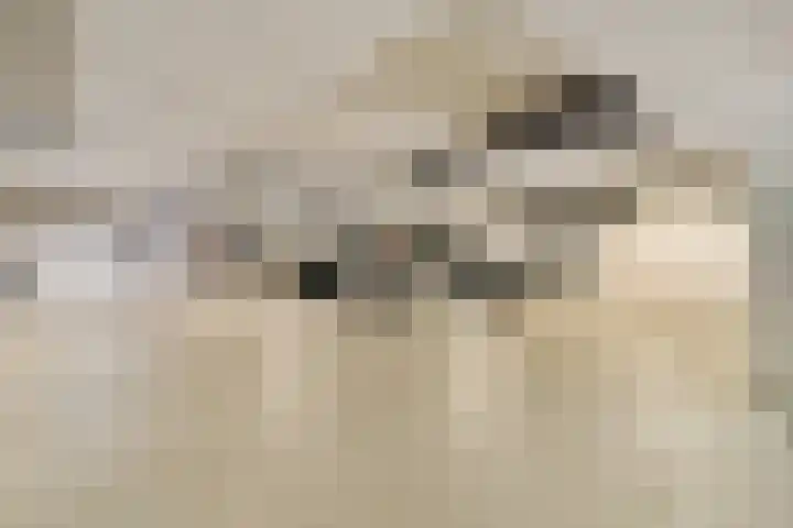 Van Diepeningenlaan 38 Leiderdorp thumbnail 23