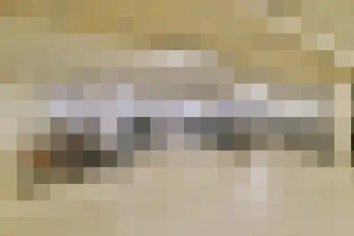Van Diepeningenlaan 38 Leiderdorp thumbnail 24