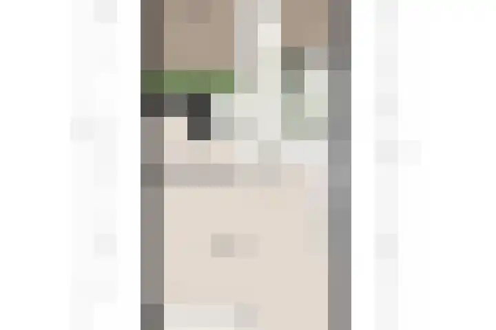 Van Diepeningenlaan 38 Leiderdorp thumbnail 26