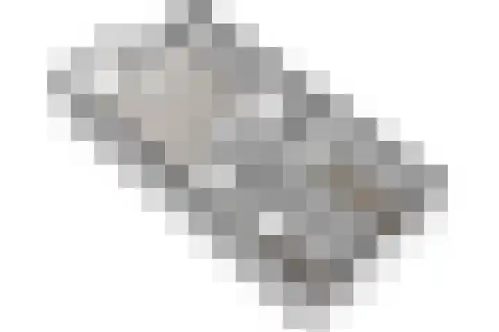 Van Diepeningenlaan 38 Leiderdorp thumbnail 27
