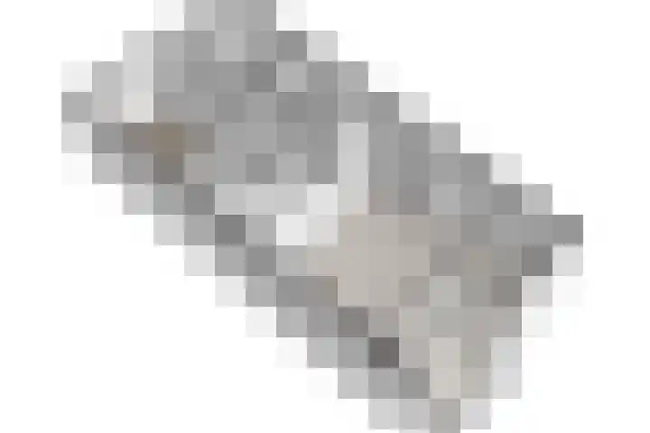 Van Diepeningenlaan 38 Leiderdorp thumbnail 28
