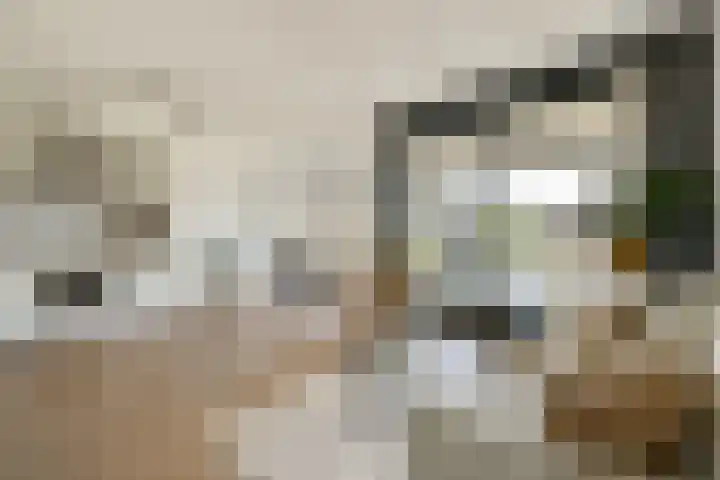 Van Diepeningenlaan 38 Leiderdorp thumbnail 6