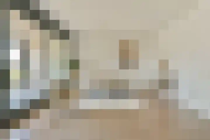 Van Diepeningenlaan 38 Leiderdorp thumbnail 8