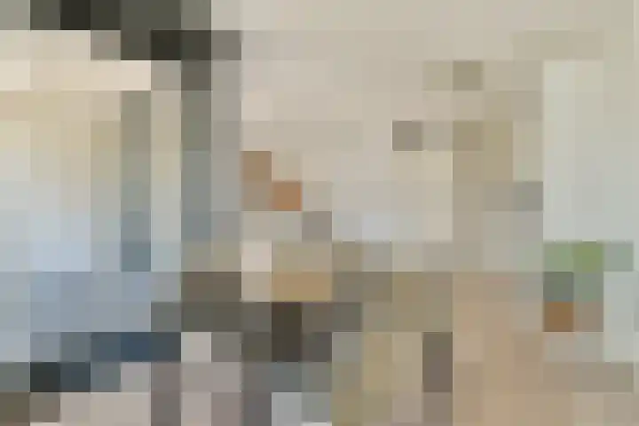 Van Diepeningenlaan 38 Leiderdorp thumbnail 9