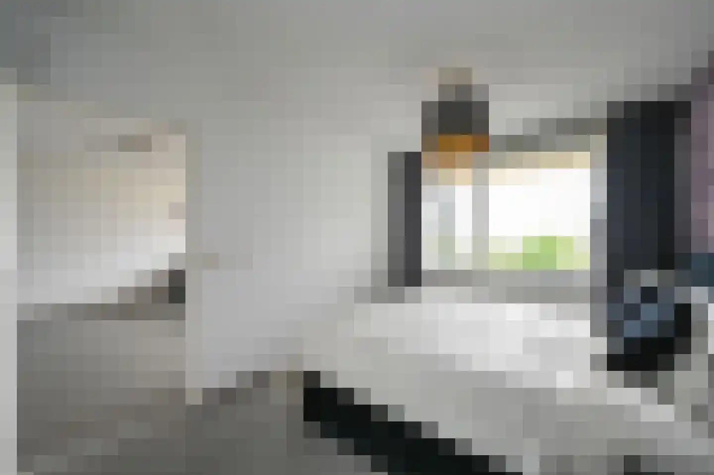 Van Diesenstraat 217 Den Haag thumbnail 19