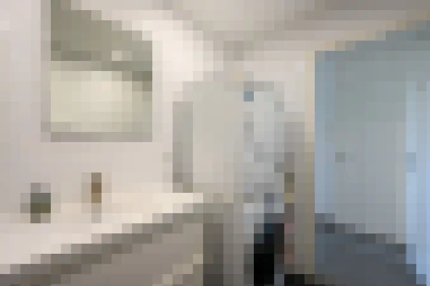 Van Diesenstraat 217 Den Haag thumbnail 31