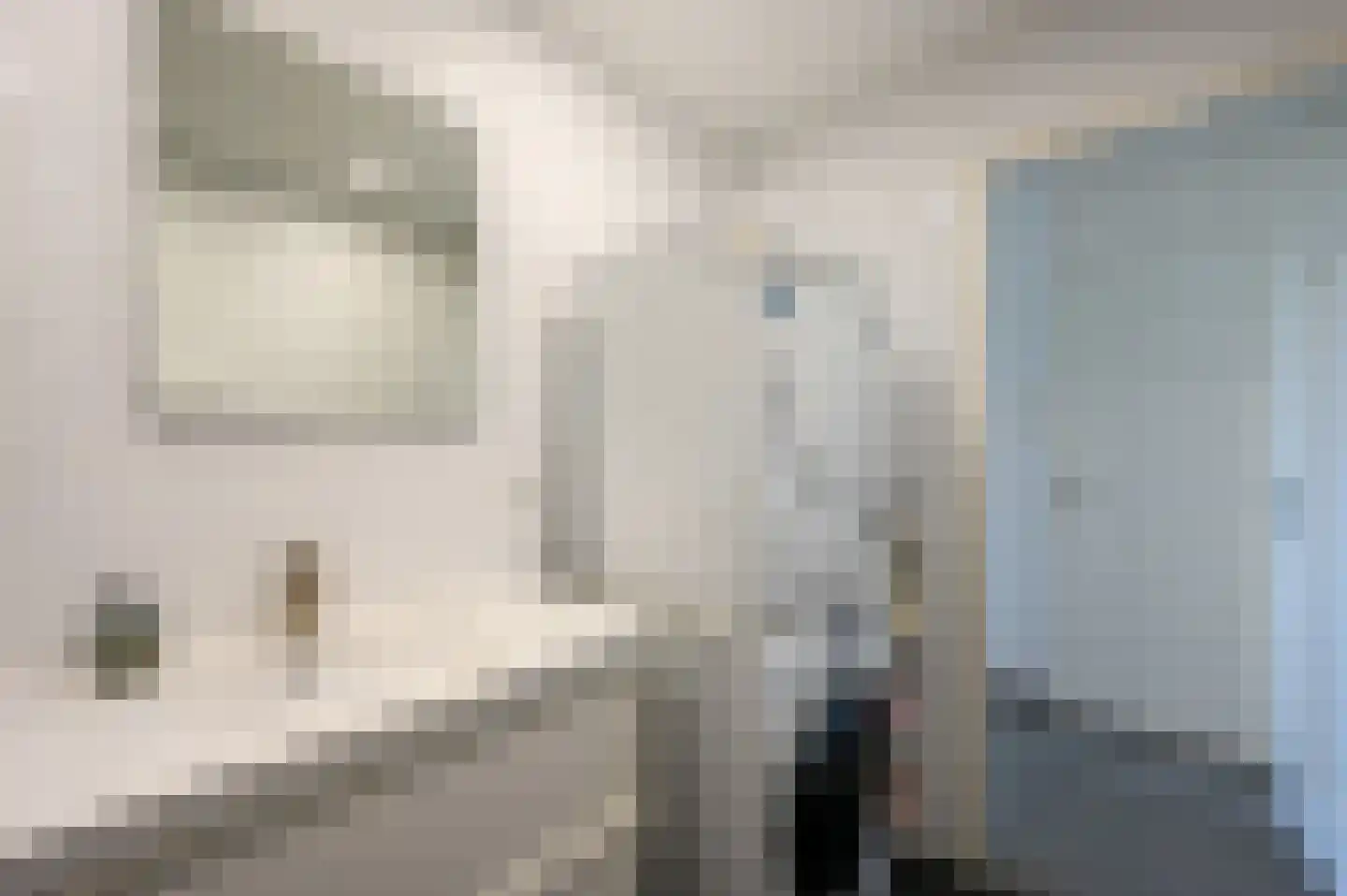 Van Diesenstraat 217 Den Haag thumbnail 31