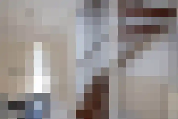 van Dieststraat 21 Tubbergen thumbnail 11