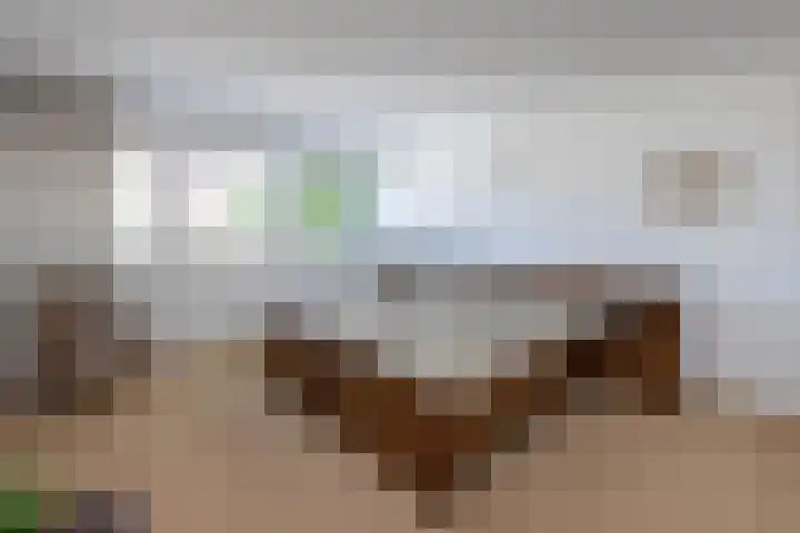 van Dieststraat 21 Tubbergen thumbnail 12