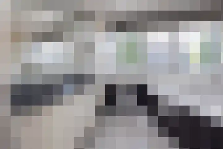 van Dieststraat 21 Tubbergen thumbnail 15