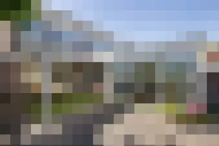 van Dieststraat 21 Tubbergen thumbnail 21
