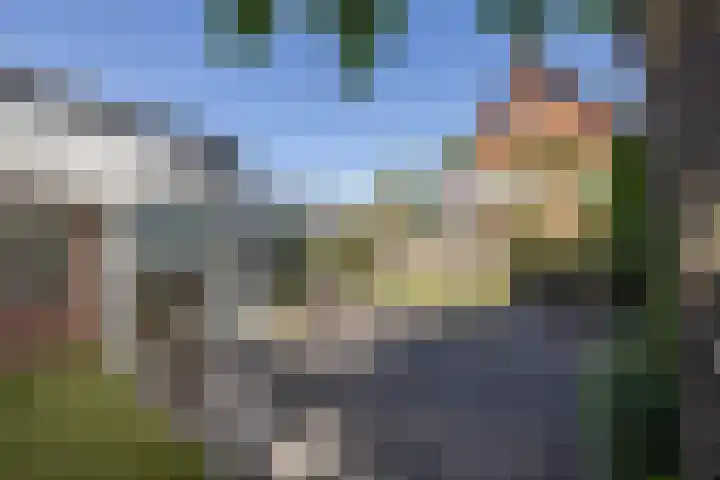 van Dieststraat 21 Tubbergen thumbnail 23
