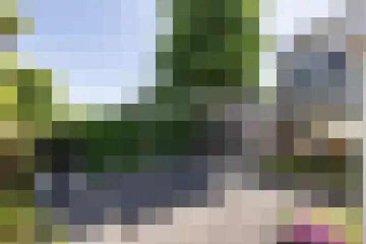 van Dieststraat 21 Tubbergen thumbnail 24