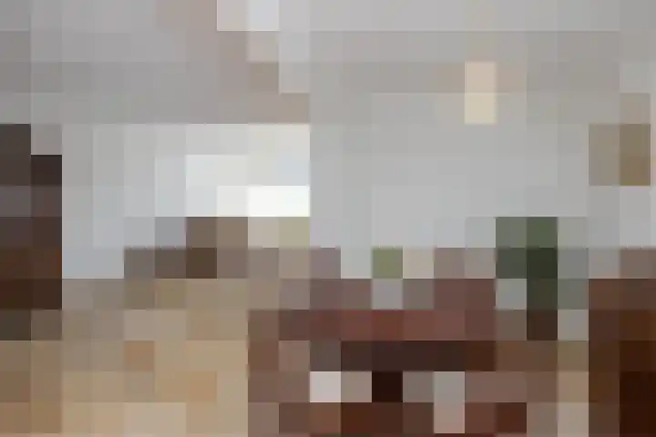 van Dieststraat 21 Tubbergen thumbnail 6