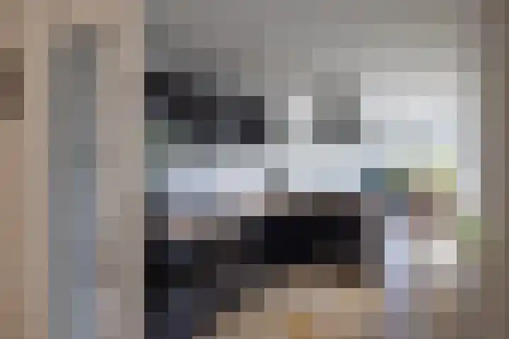 van Dieststraat 21 Tubbergen thumbnail 7