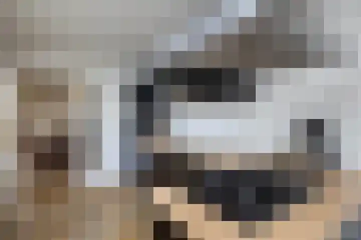 van Dieststraat 21 Tubbergen thumbnail 8