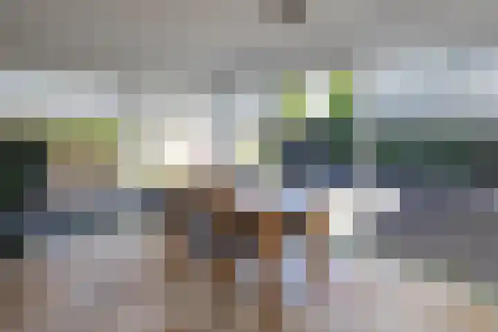 van Dieststraat 21 Tubbergen thumbnail 9