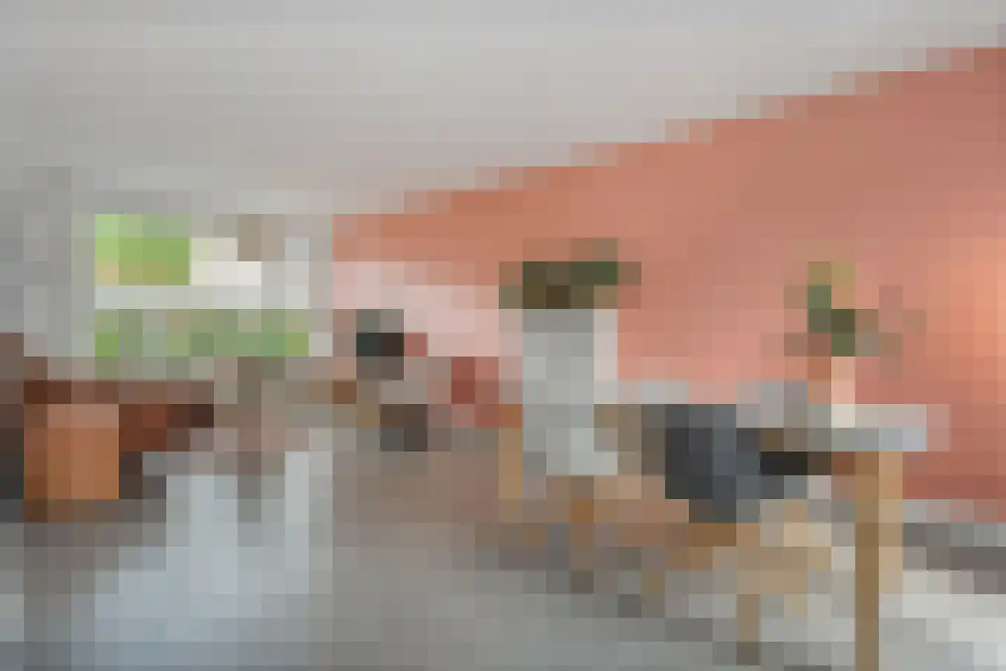 van Dieststraat 24 Tubbergen thumbnail 10