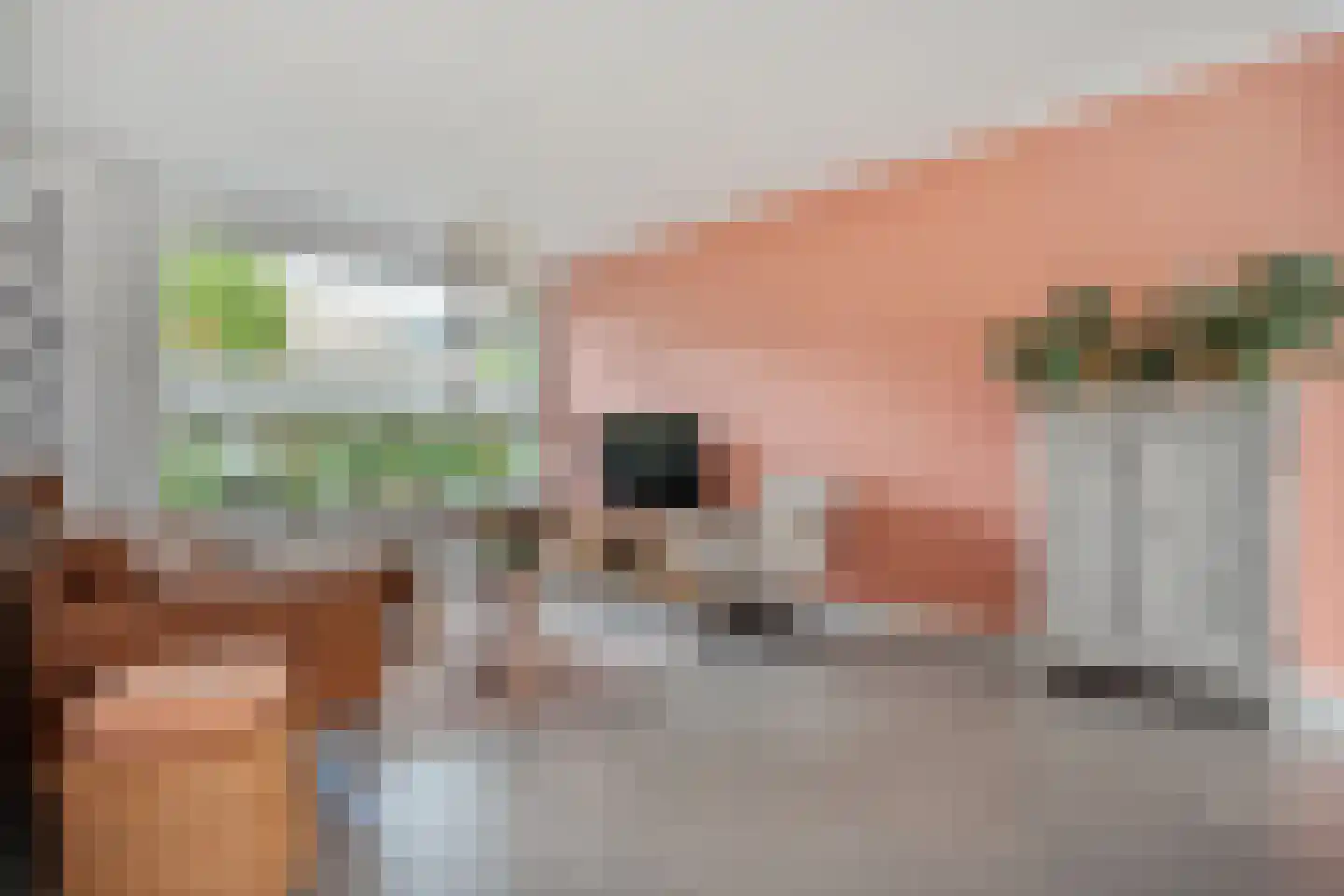 van Dieststraat 24 Tubbergen thumbnail 11