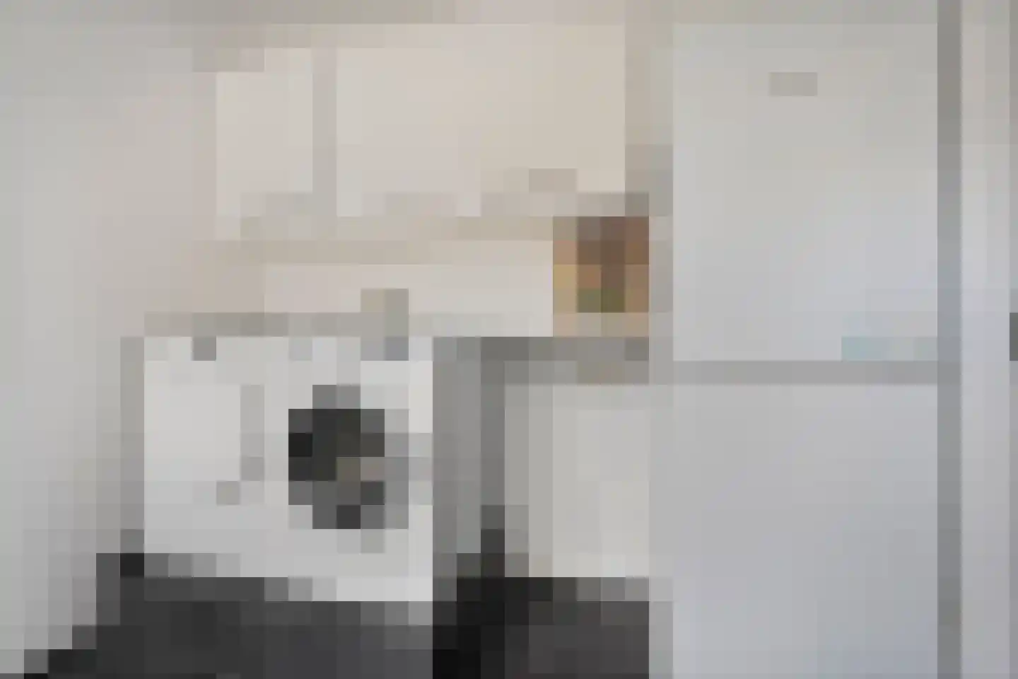 van Dieststraat 24 Tubbergen thumbnail 12