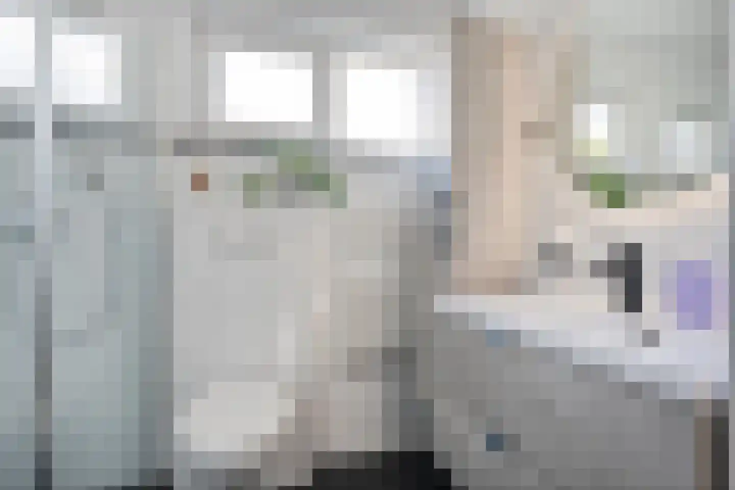 van Dieststraat 24 Tubbergen thumbnail 14