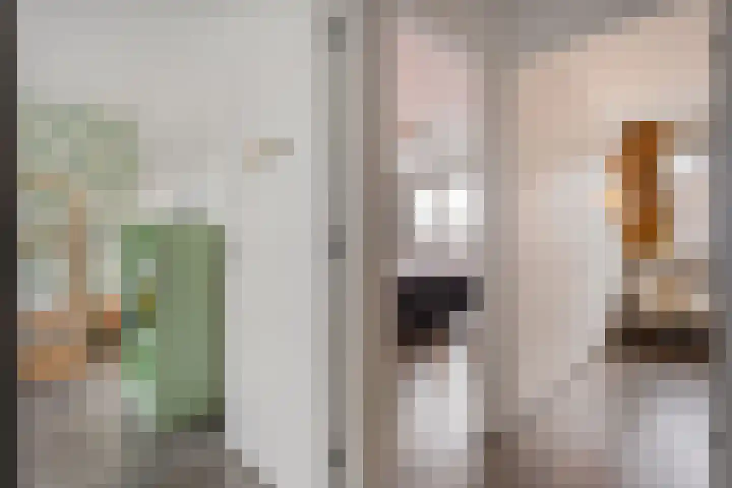 van Dieststraat 24 Tubbergen thumbnail 16