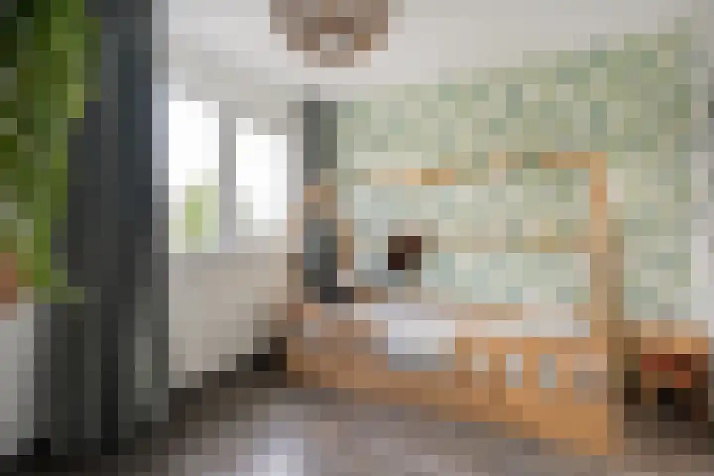 van Dieststraat 24 Tubbergen thumbnail 18