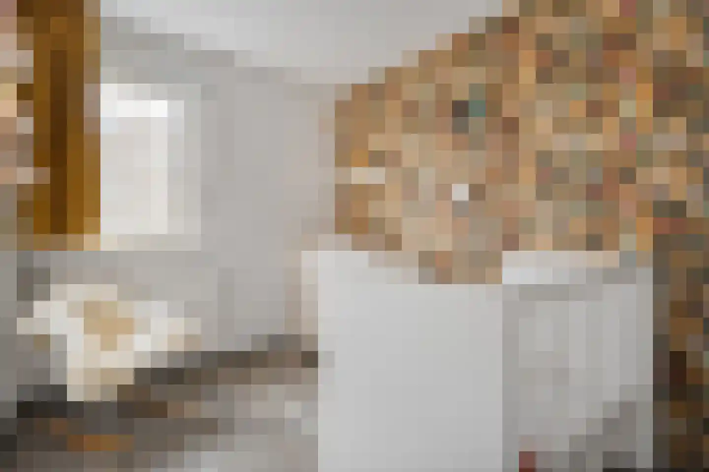 van Dieststraat 24 Tubbergen thumbnail 19
