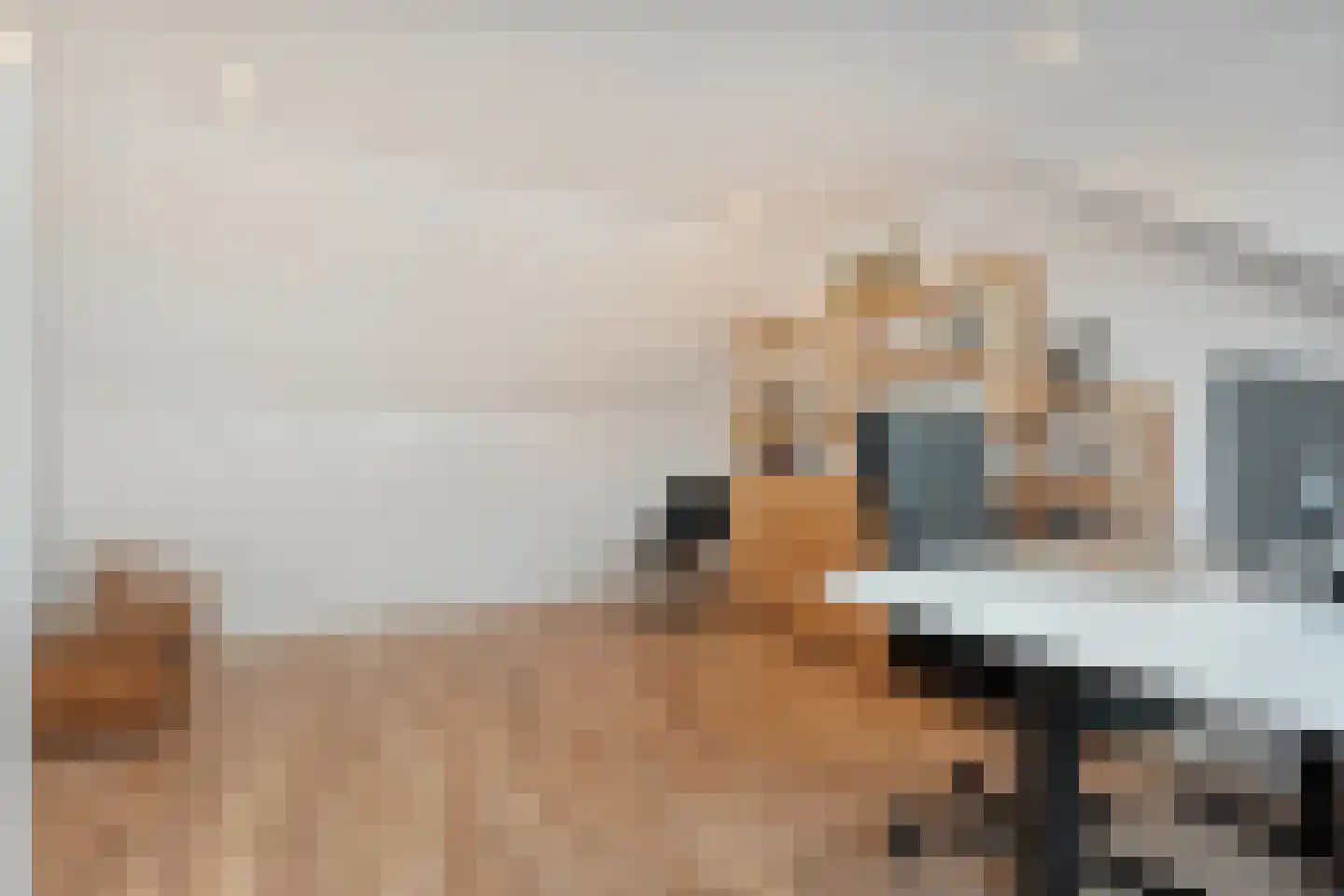 van Dieststraat 24 Tubbergen thumbnail 22