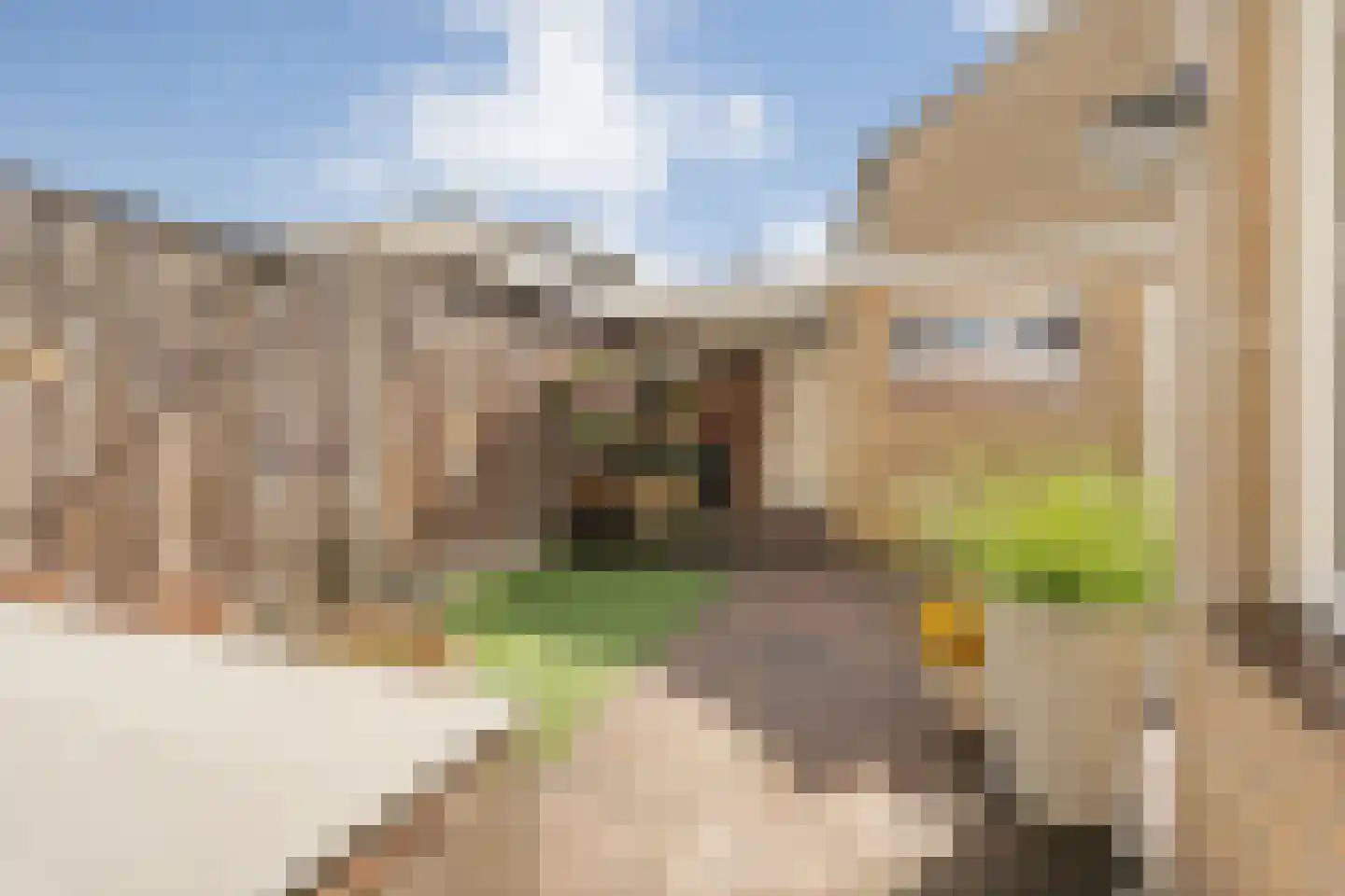 van Dieststraat 24 Tubbergen thumbnail 24
