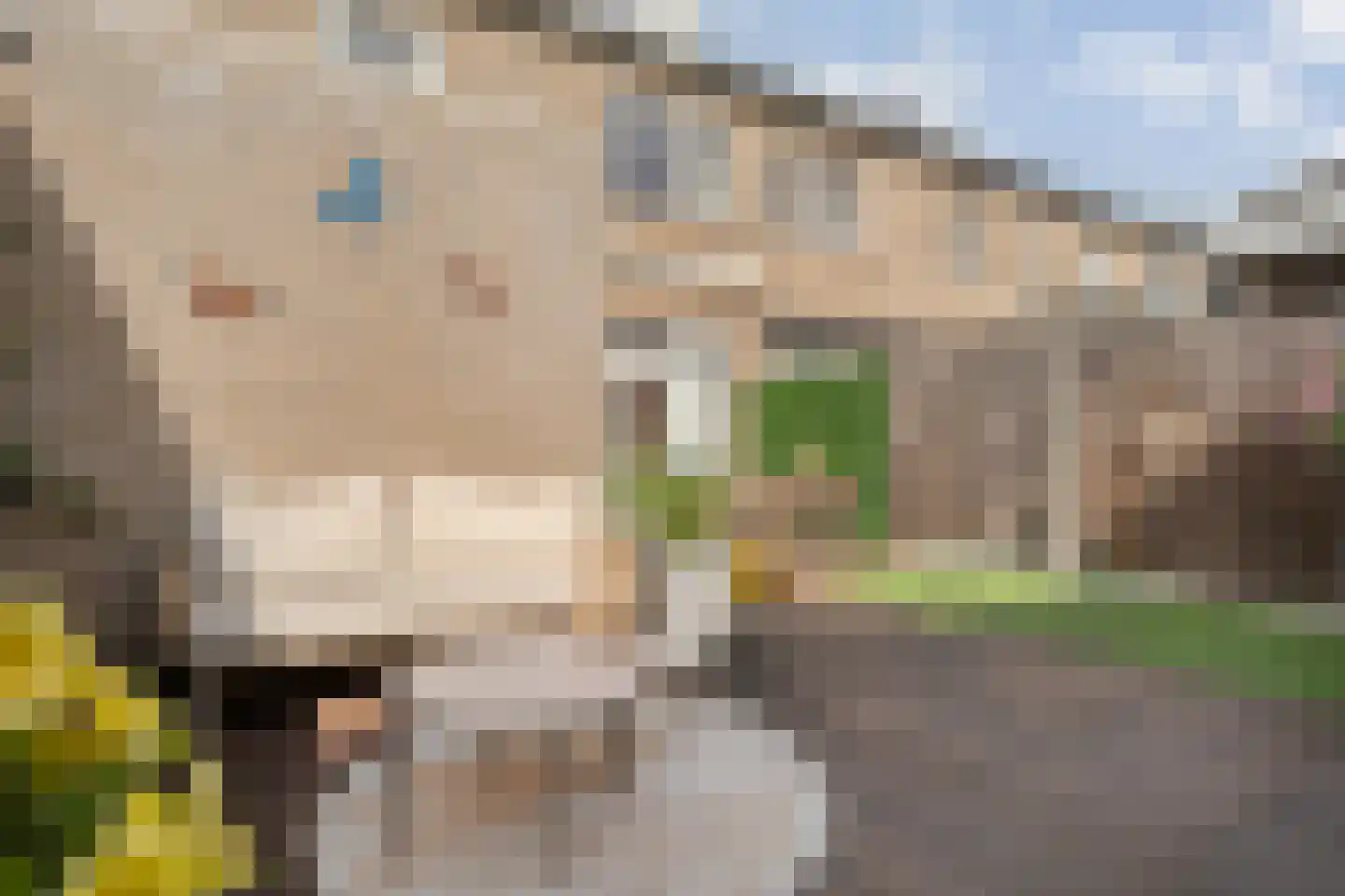 van Dieststraat 24 Tubbergen thumbnail 25