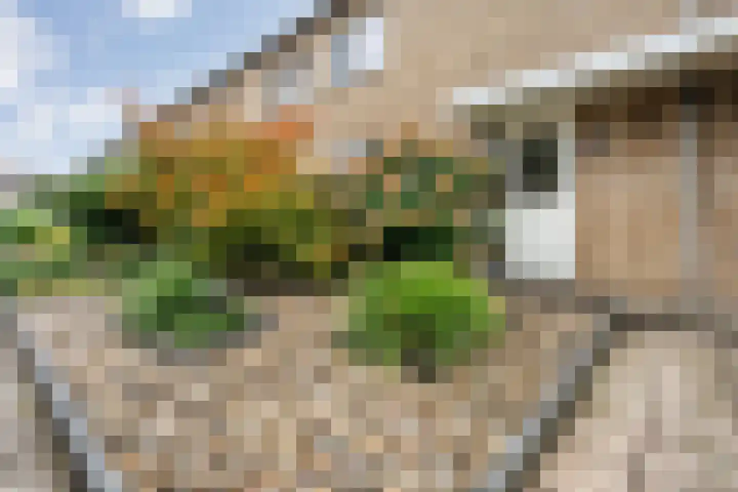 van Dieststraat 24 Tubbergen thumbnail 5