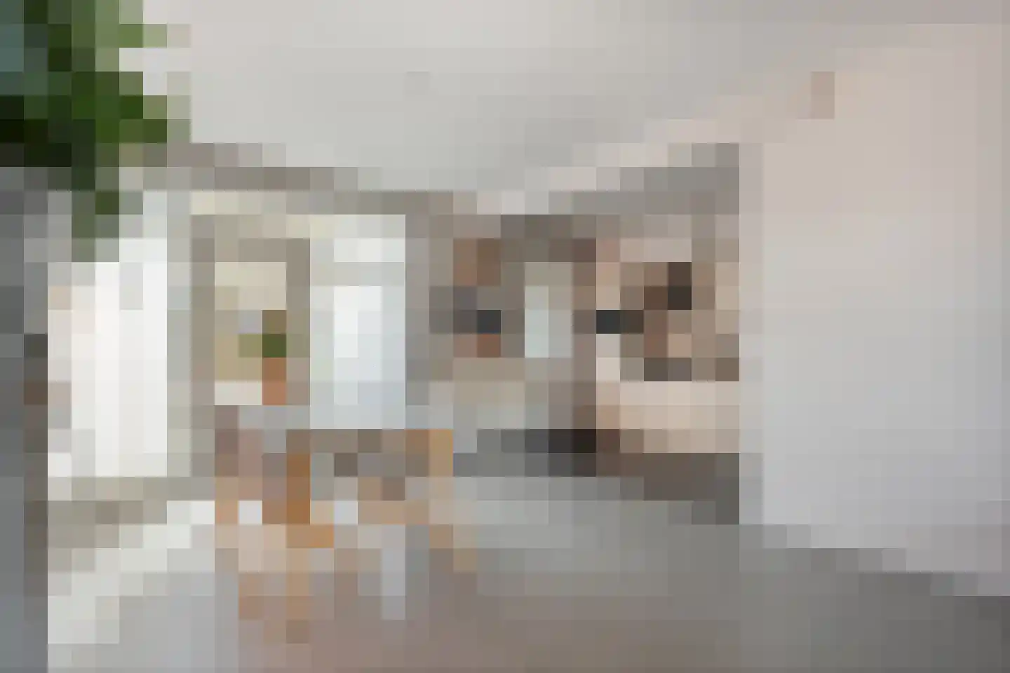 van Dieststraat 24 Tubbergen thumbnail 8