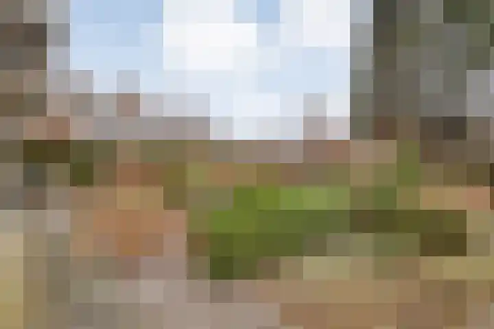van Dieststraat 3 Ootmarsum thumbnail 10