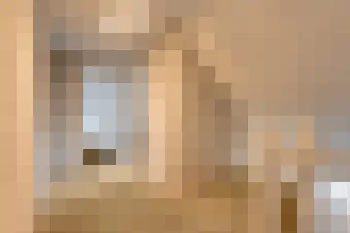 van Dieststraat 3 Ootmarsum thumbnail 17