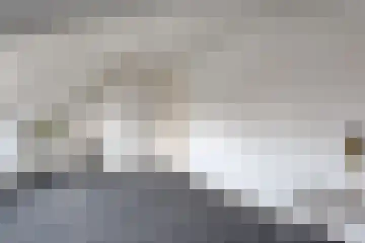 van Dieststraat 3 Ootmarsum thumbnail 23